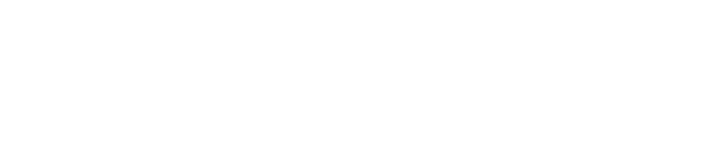 logo-wings
