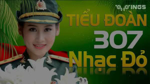 tieu-doan-307