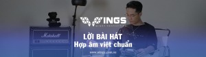 loi-bai-hat-hop-am-viet-chuan-wings-production-phong-thu-am-gia-re